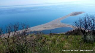 da di Volpe30-07-2015 22-56-09
